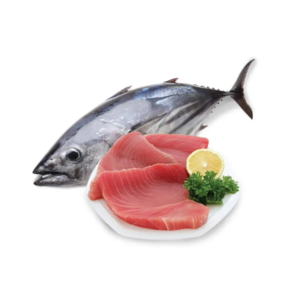Cá Ngừ Tươi
