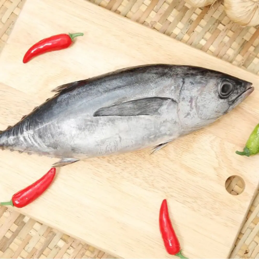 Cá Ngừ Tươi
