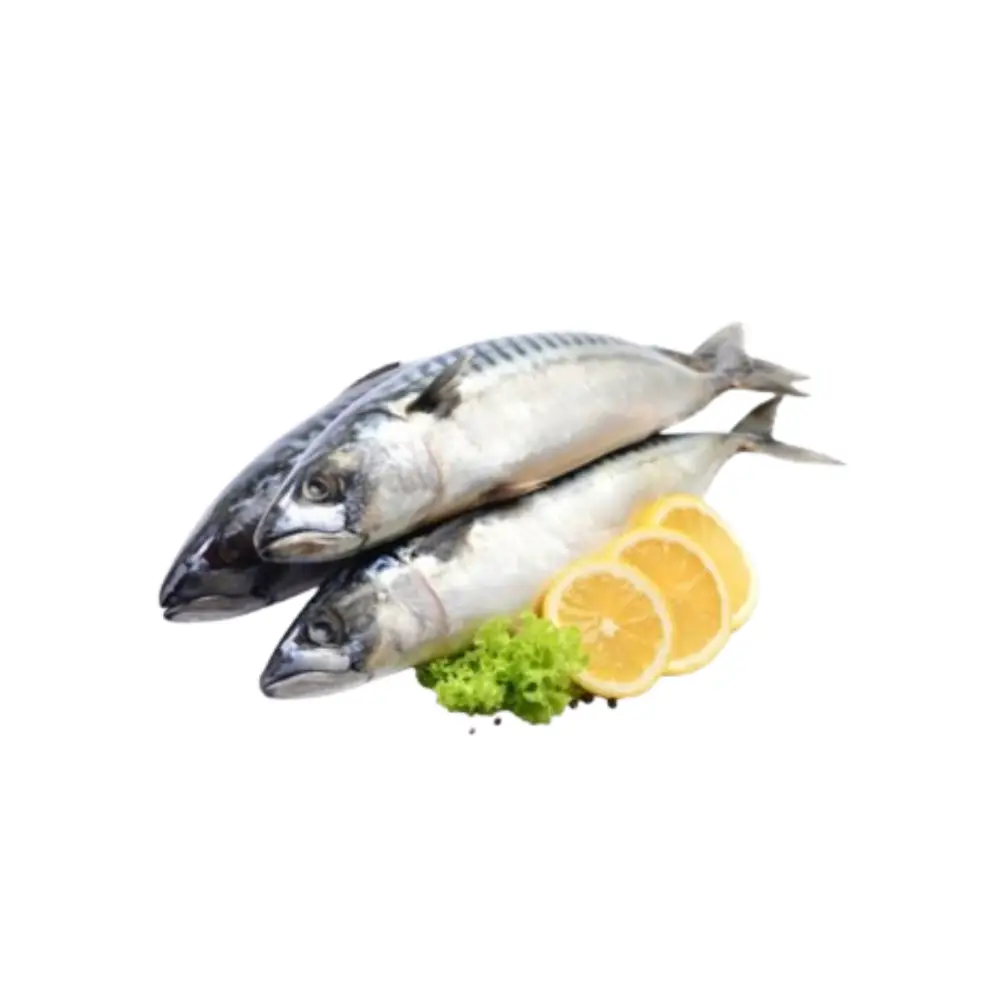 Cá Saba Tươi Sống Làm Sạch