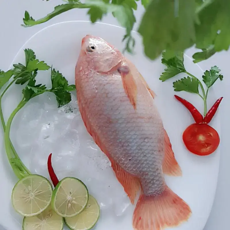 Cá Diêu Hồng Tươi Sống Size 800Gr - 1Kg