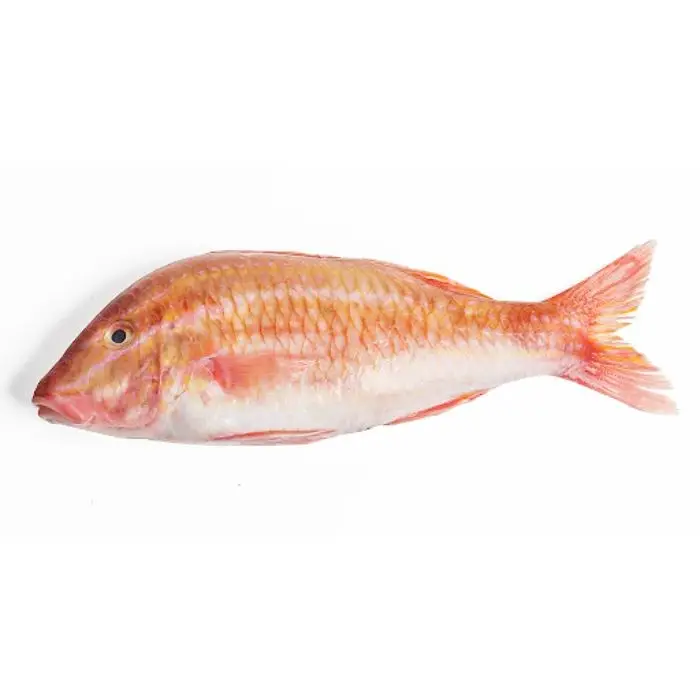 Cá Phèn Tươi Sống Size 5-6 Con/Kg