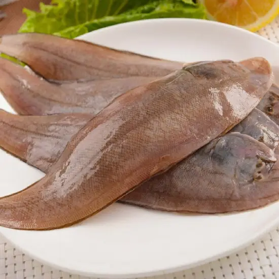 Cá Bơn (Cá Lưỡi Trâu) Tươi