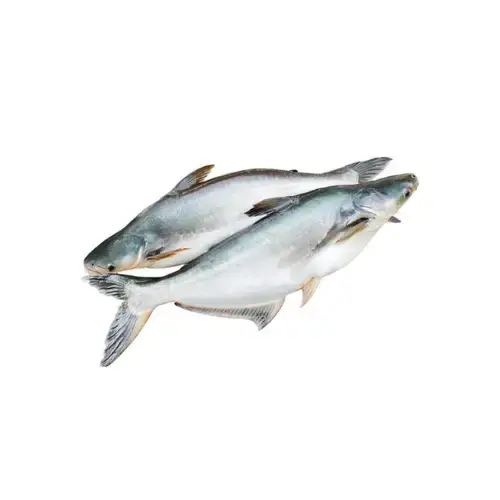 Cá Ba Sa Tươi Sống