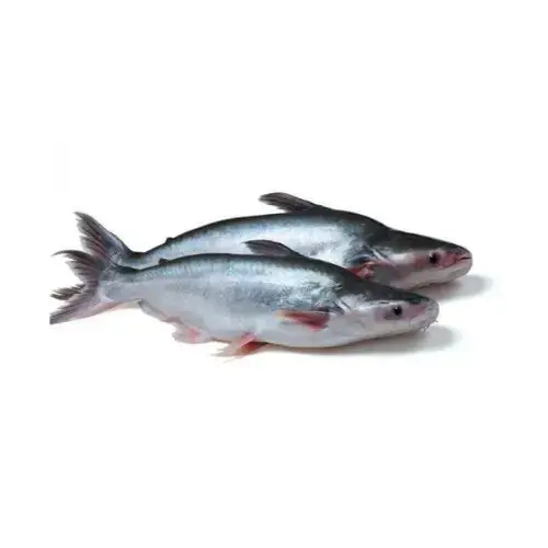 Cá Ba Sa Tươi Sống