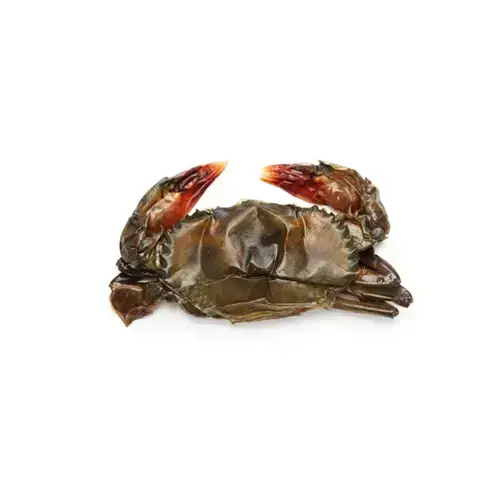 Cua Lột Tươi Size 12-15 Con/Kg