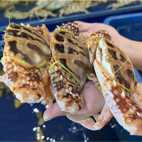 Ghẹ Đỏ Tươi Sống Size 3-4 Con/Kg