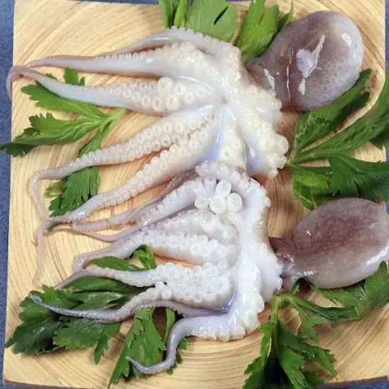 Bạch Tuộc Tươi Sống Size 2-3 Con/Kg