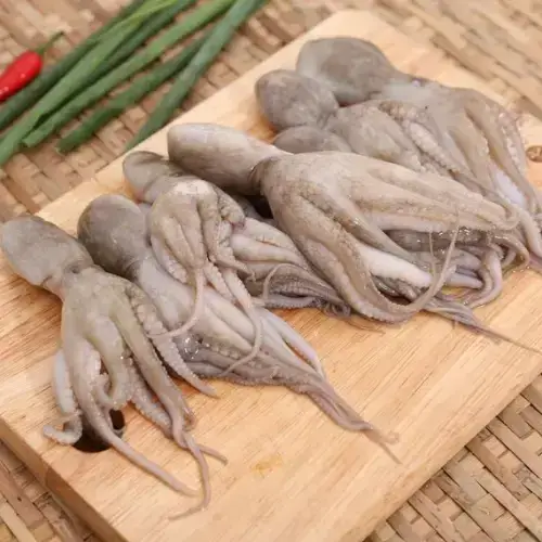 Bạch Tuộc Tươi Sống Size 4-6 Con/Kg