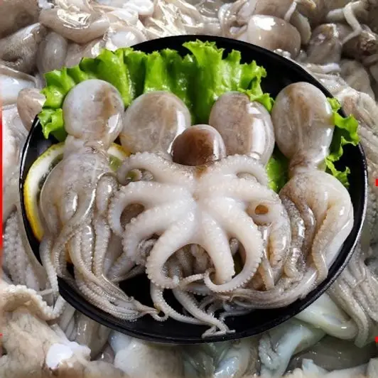 Bạch Tuộc Tươi Size 0.6-0.8Kg/Con