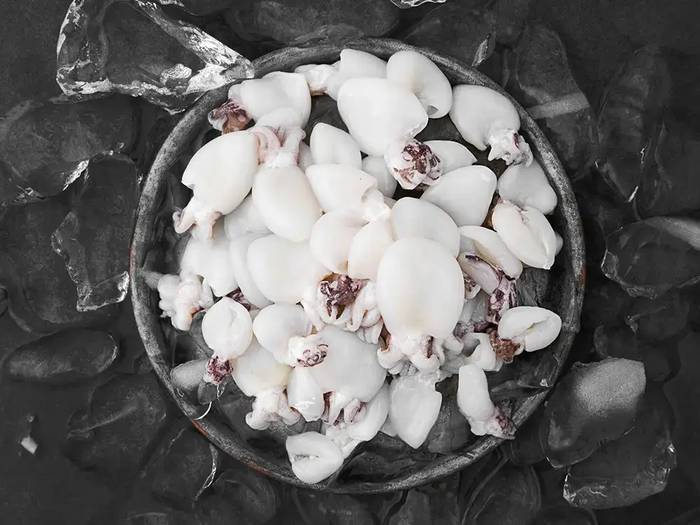 Mực Nang (Mực Nút) Tươi Size 8-10 Con/Kg