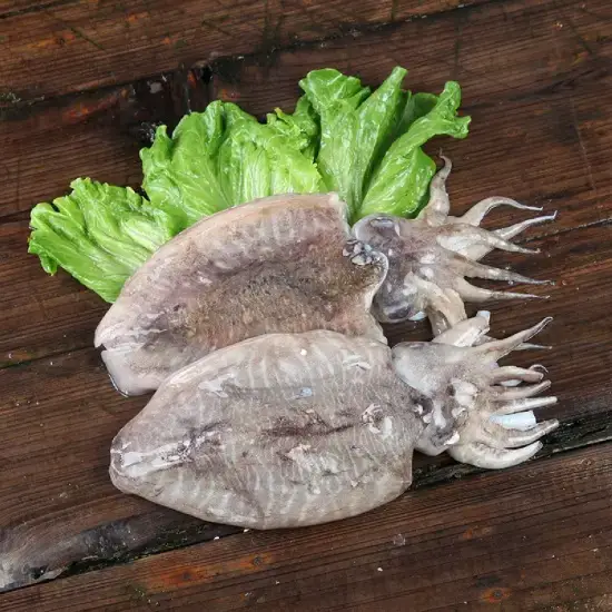 Mực Nang Tươi Sống Size 0.8-1Kg/Con