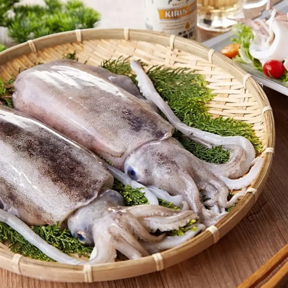 Mực Nang Tươi Sống Size 1.5-2Kg/Con