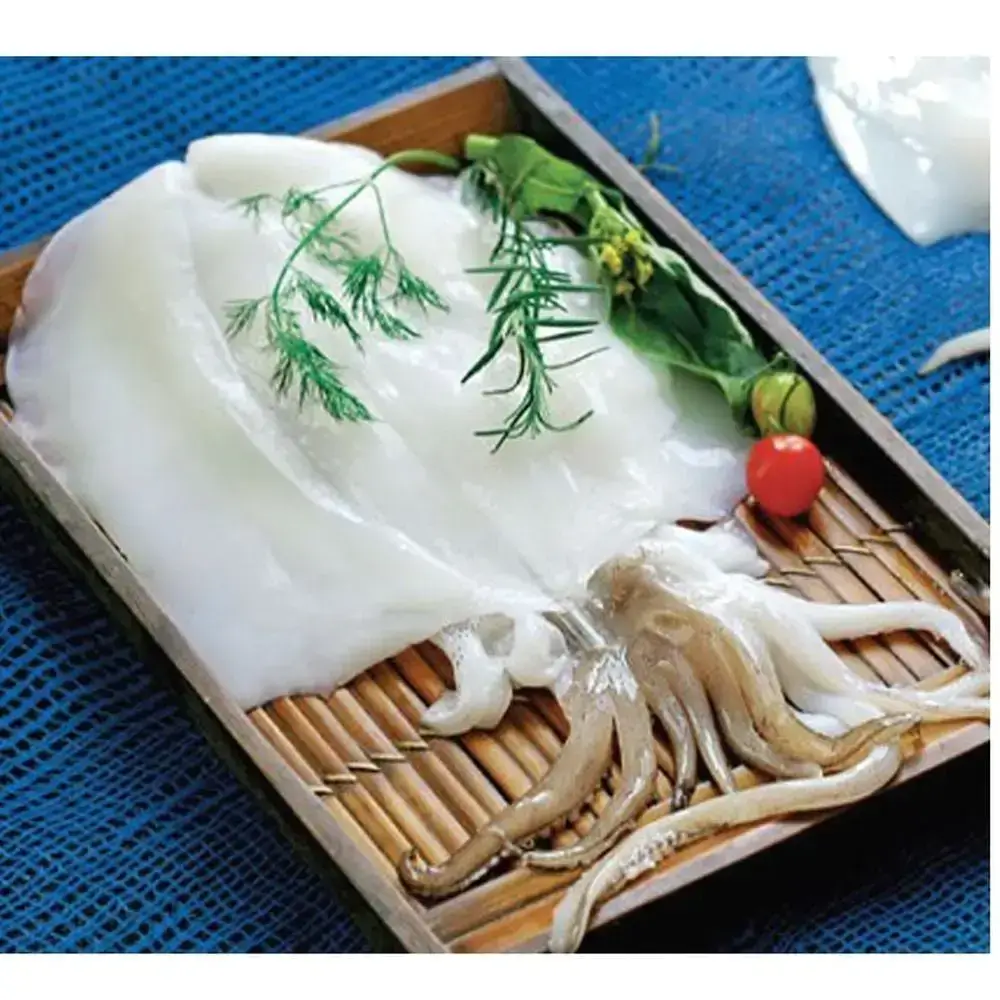 Mực Lá Tươi Sống Size 0.8-1Kg/Con