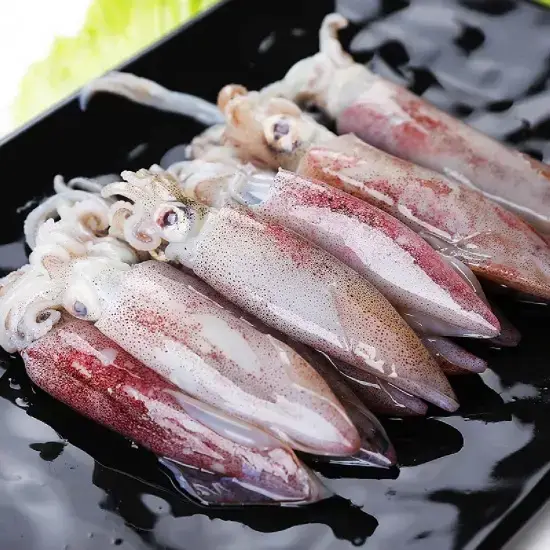 Mực Ống Tươi Sống Size 400-600Gram/Con