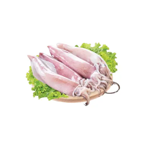 Mực Ống Câu Tươi Sống Size 9-12 Con/Kg