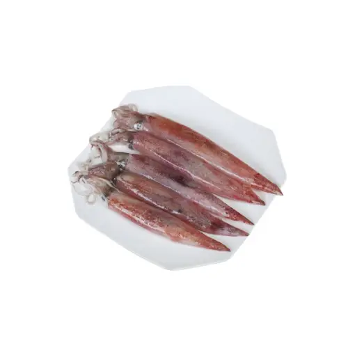 Mực Trứng Tươi Ngon Size 8-10 Con/Kg