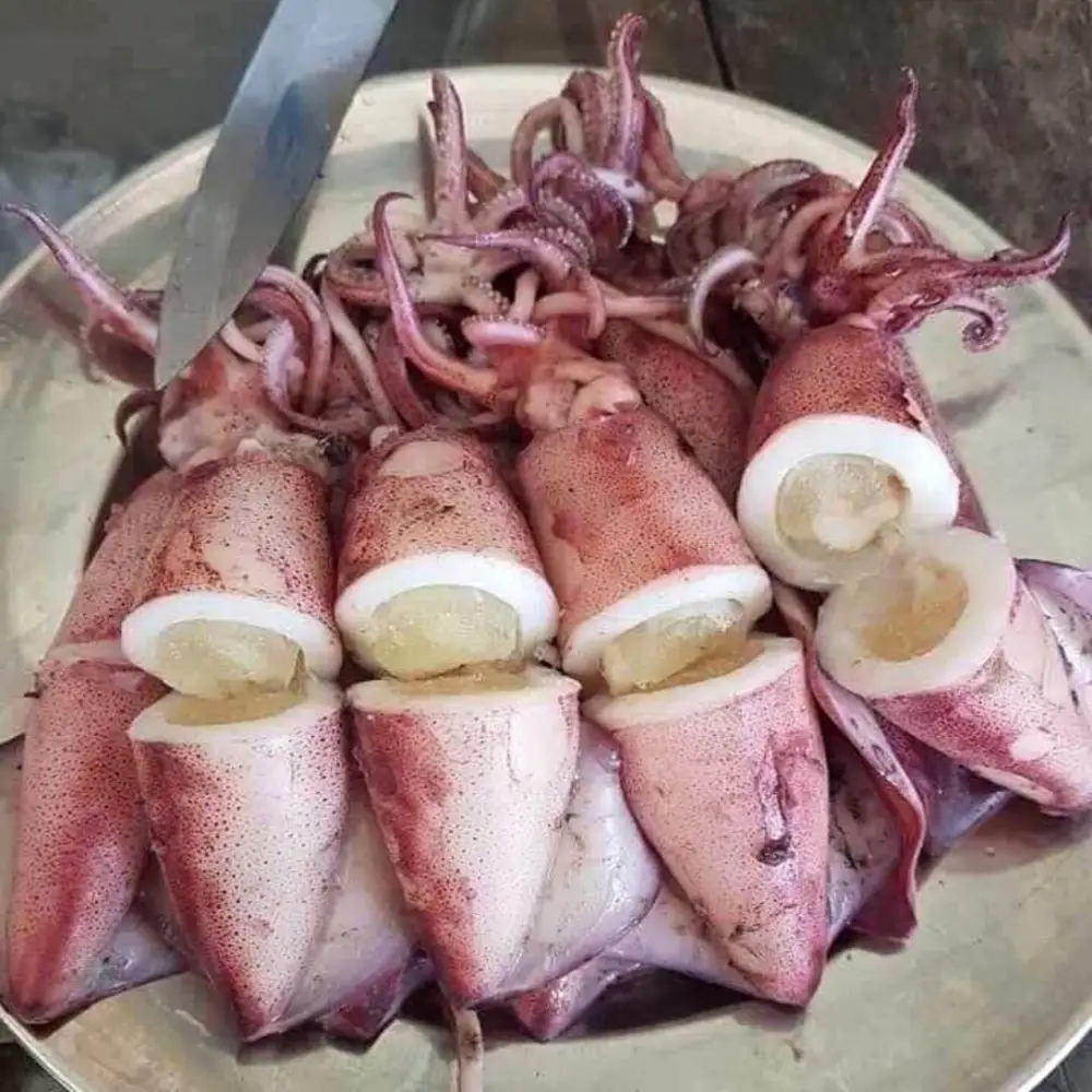 Mực Trứng Tươi Ngon Size 15-20 Con/Kg