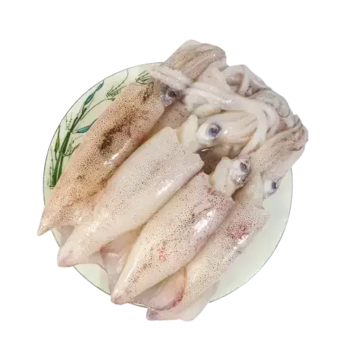 Mực Trứng Tươi Ngon Size 30-40 Con/Kg