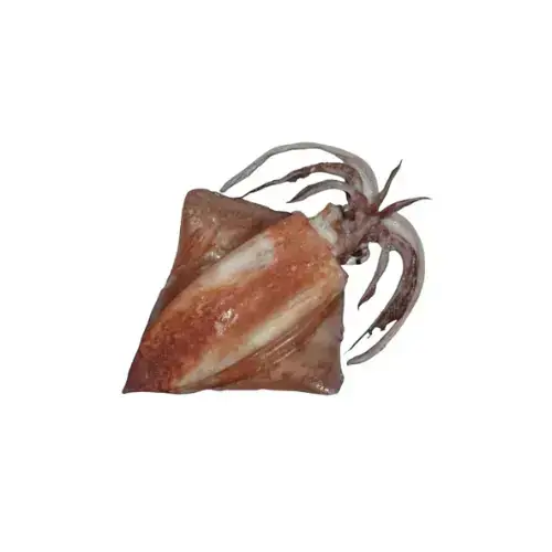 Mực Lá Đại Dương Size 3-4Kg/Con