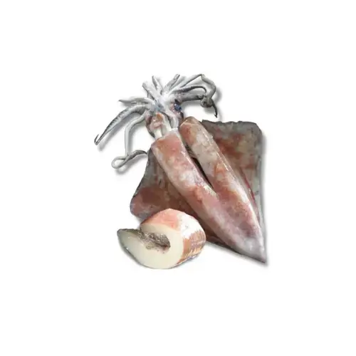 Mực Lá Đại Dương Size 4-6Kg/Con