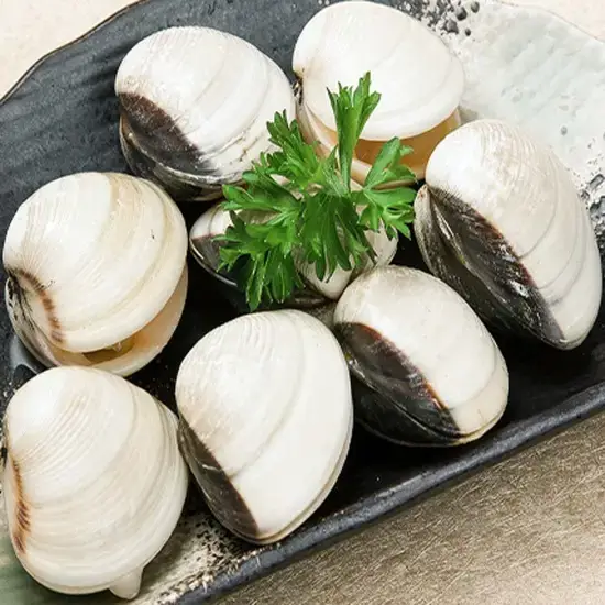 Nghêu Biển Tươi Sống Size 40-50 Con/Kg