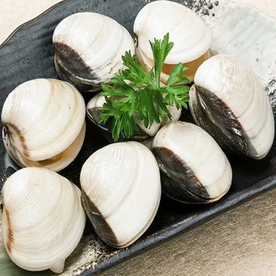 Nghêu Biển Tươi Sống Size 50-60 Con/Kg