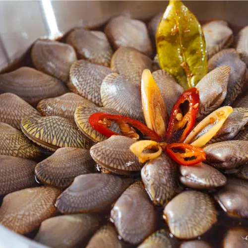 Ngao Hoa Size 30-40 Con/Kg