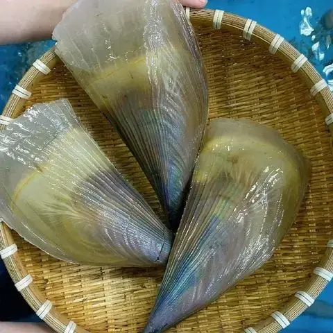 Sò Mai Tươi Sống Size 3-4 Con/Kg