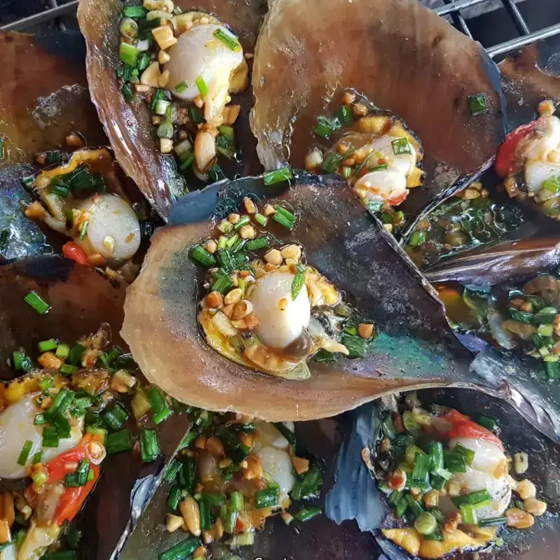 Sò Mai Tươi Sống Size 8-10 Con/Kg