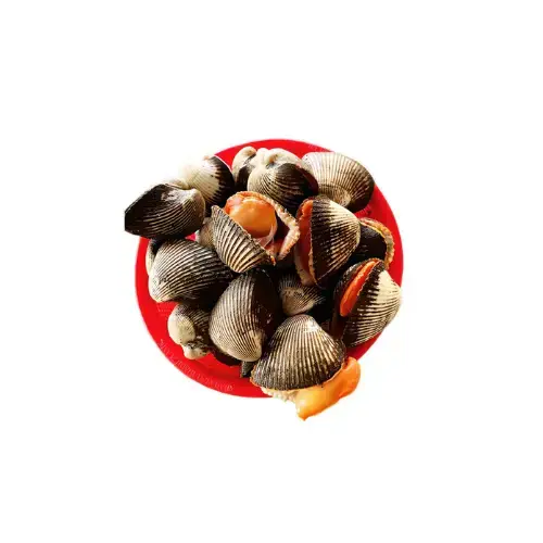 Sò Lông Tươi Sống Size 20-30 Con/Kg