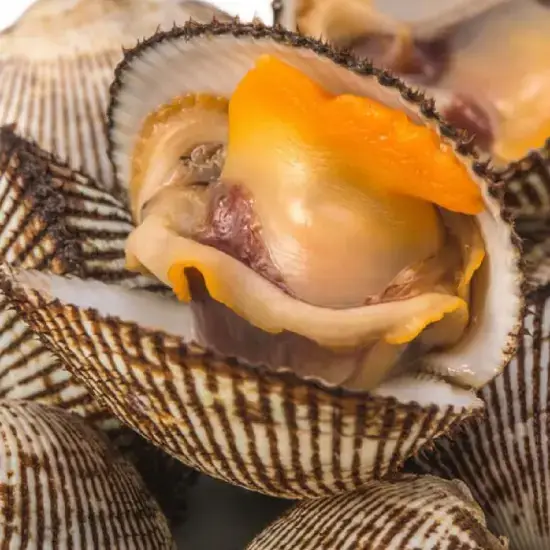 Sò Lông Tươi Sống Size 30-40 Con/Kg