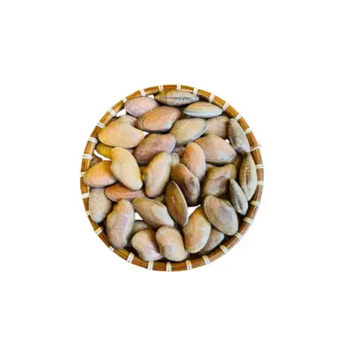 Sò Lụa Tươi Sống Size 20-30 Con/Kg