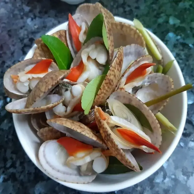 Sò Lụa Tươi Sống Size 40-50 Con/Kg 