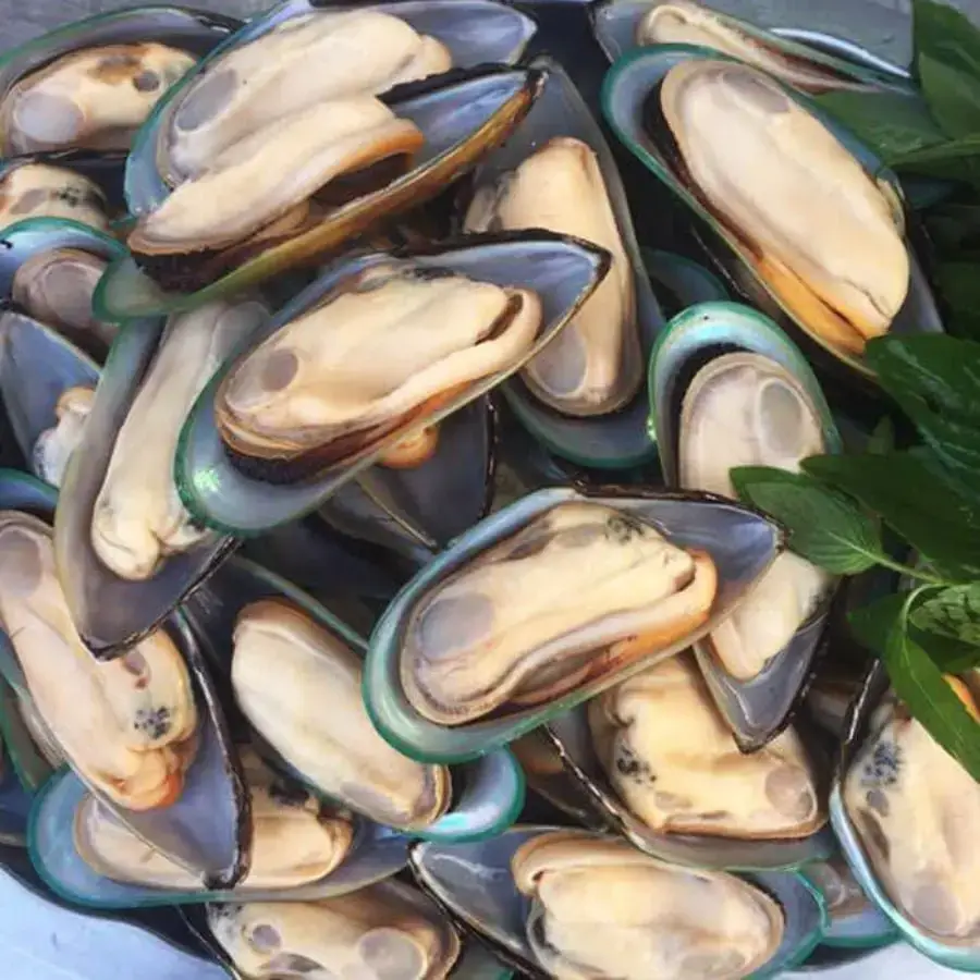 Vẹm Xanh Tươi Sống Size 10-15 Con/Kg