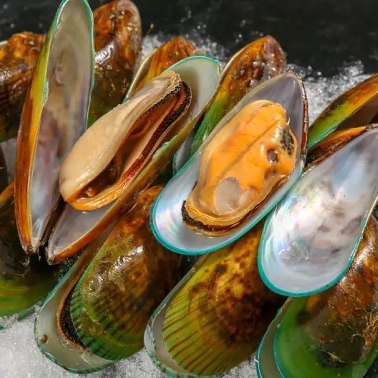 Vẹm Xanh Tươi Sống Size 20-25 Con/Kg