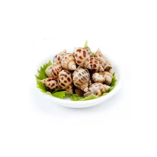 Ốc Hương Tươi Sống Size Cồ 