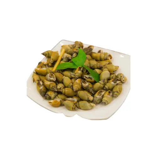 Ốc Cà Na Tươi Sống Giá Tốt 