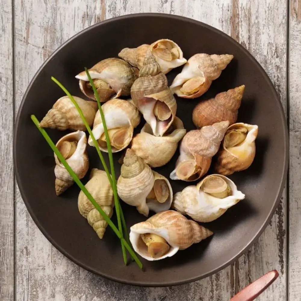 Ốc Bulot Tươi Sống Giá Tốt 
