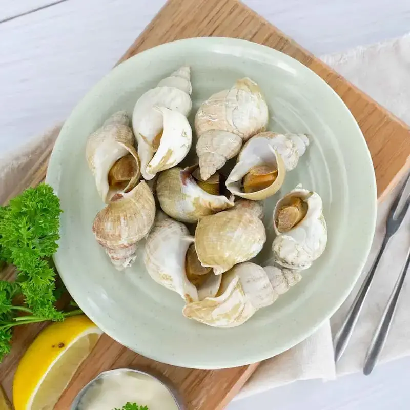Ốc Bulot Tươi Sống Giá Tốt 