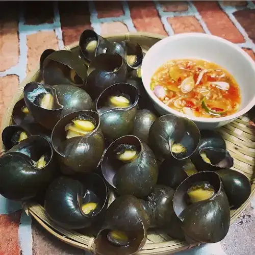 Ốc Bươu Tươi Sống Giá Tốt