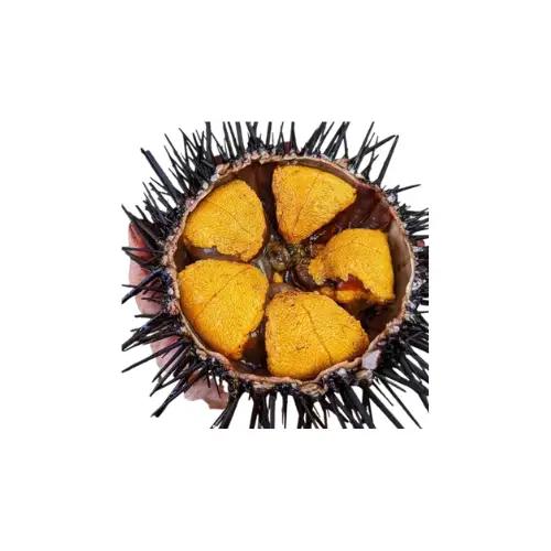 Nhum Biển Tươi Sống Giá Tốt