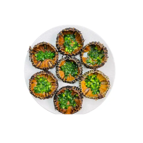 Nhum Biển Tươi Sống Giá Tốt