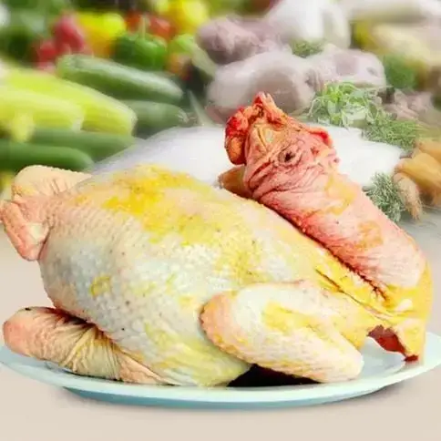 Gà Đông Tảo Tươi Sống Giá Tốt