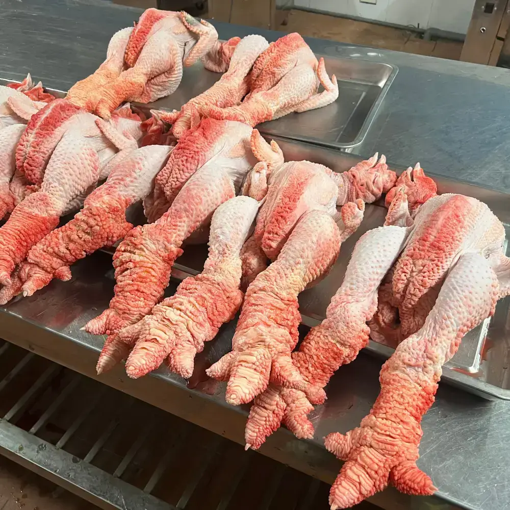 Gà Đông Tảo Tươi Sống Giá Tốt