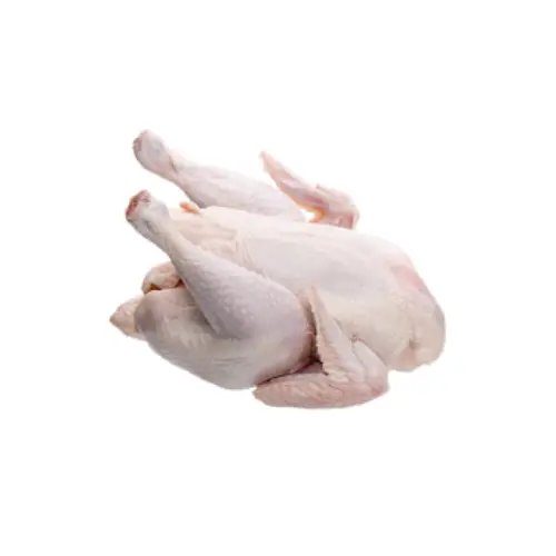 Tim Gà Tươi Sống Loại 1