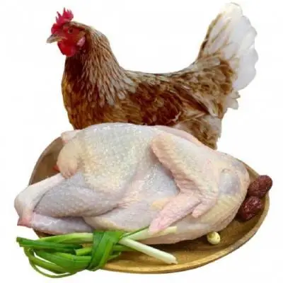 Tim Gà Tươi Sống Loại 1