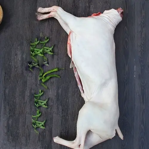 Dê Tươi Móc Hàm Tươi Sống Giá Tốt