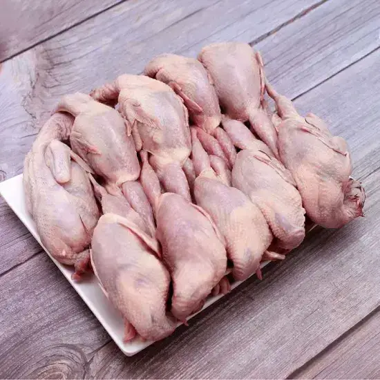 Chim Bồ Câu Thịt Làm Sạch Tươi Ngon