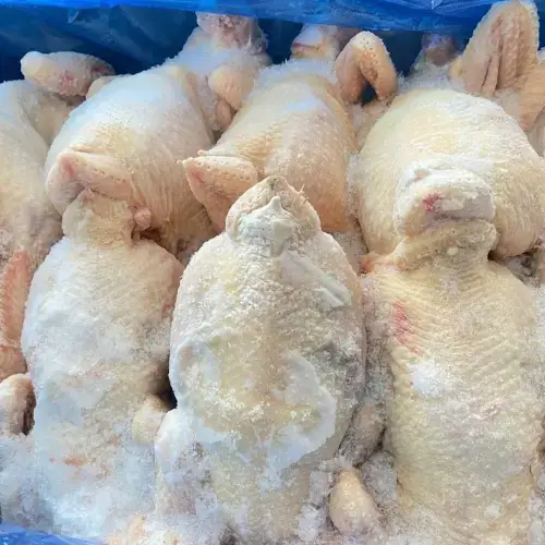 Gà Dai Nguyên Con Đông Lạnh Giá Sỉ