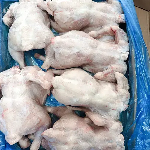 Gà Dai Nguyên Con Đông Lạnh Giá Sỉ